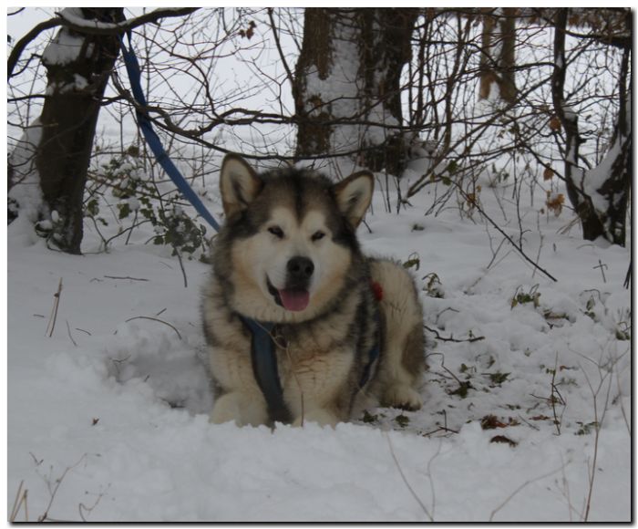 Grenzlandtour I 018.jpg